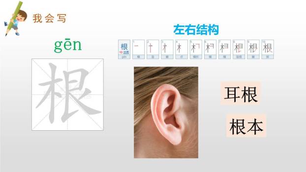 大象的耳朵PPT课件12