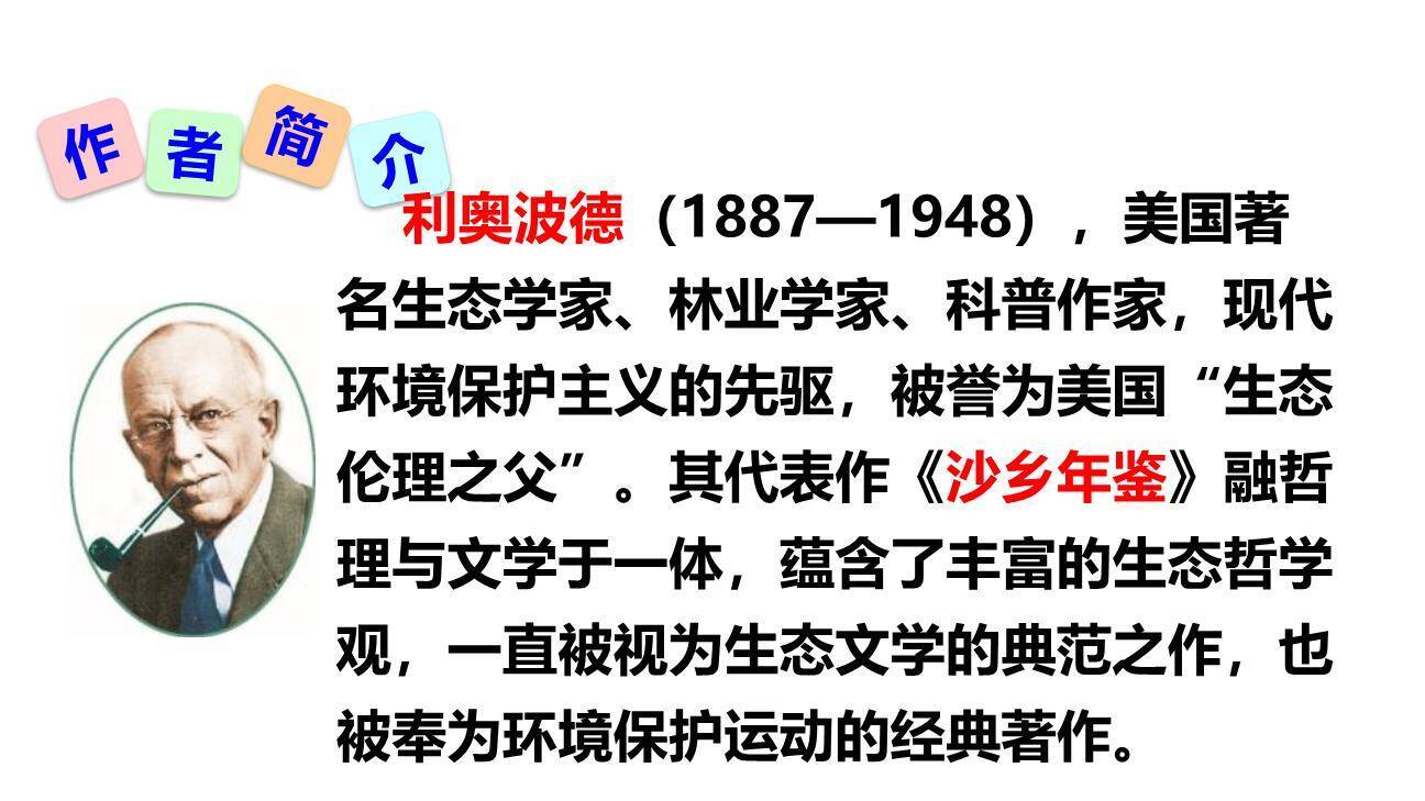 大雁归来PPT课件49