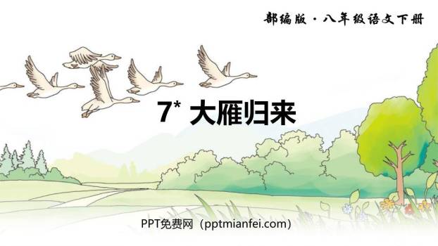 大雁归来PPT课件40