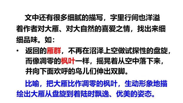 大雁归来PPT课件41