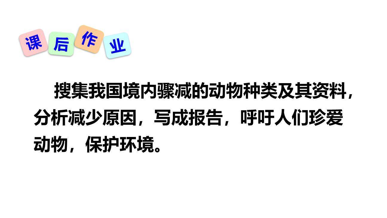 大雁归来PPT课件47