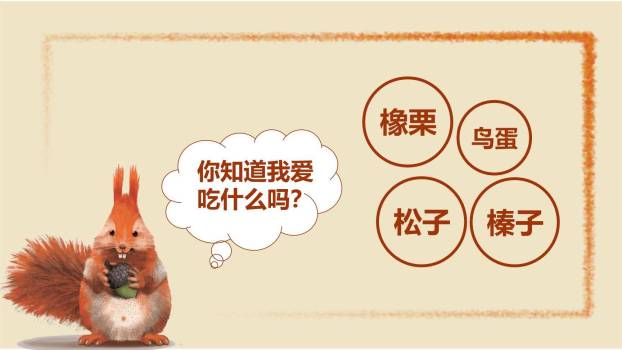 松鼠PPT课件85