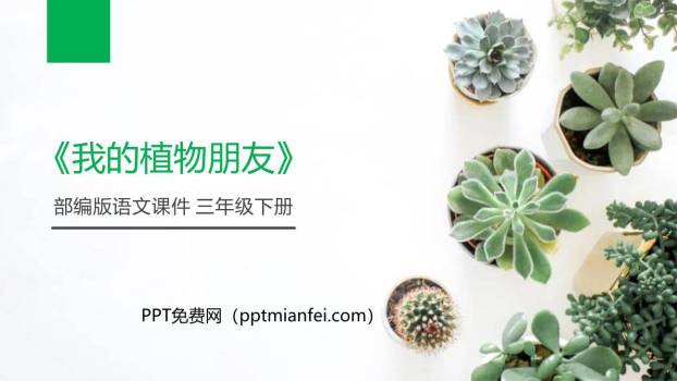 我的植物朋友PPT课件80