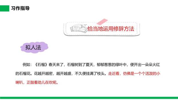 我的植物朋友PPT课件81