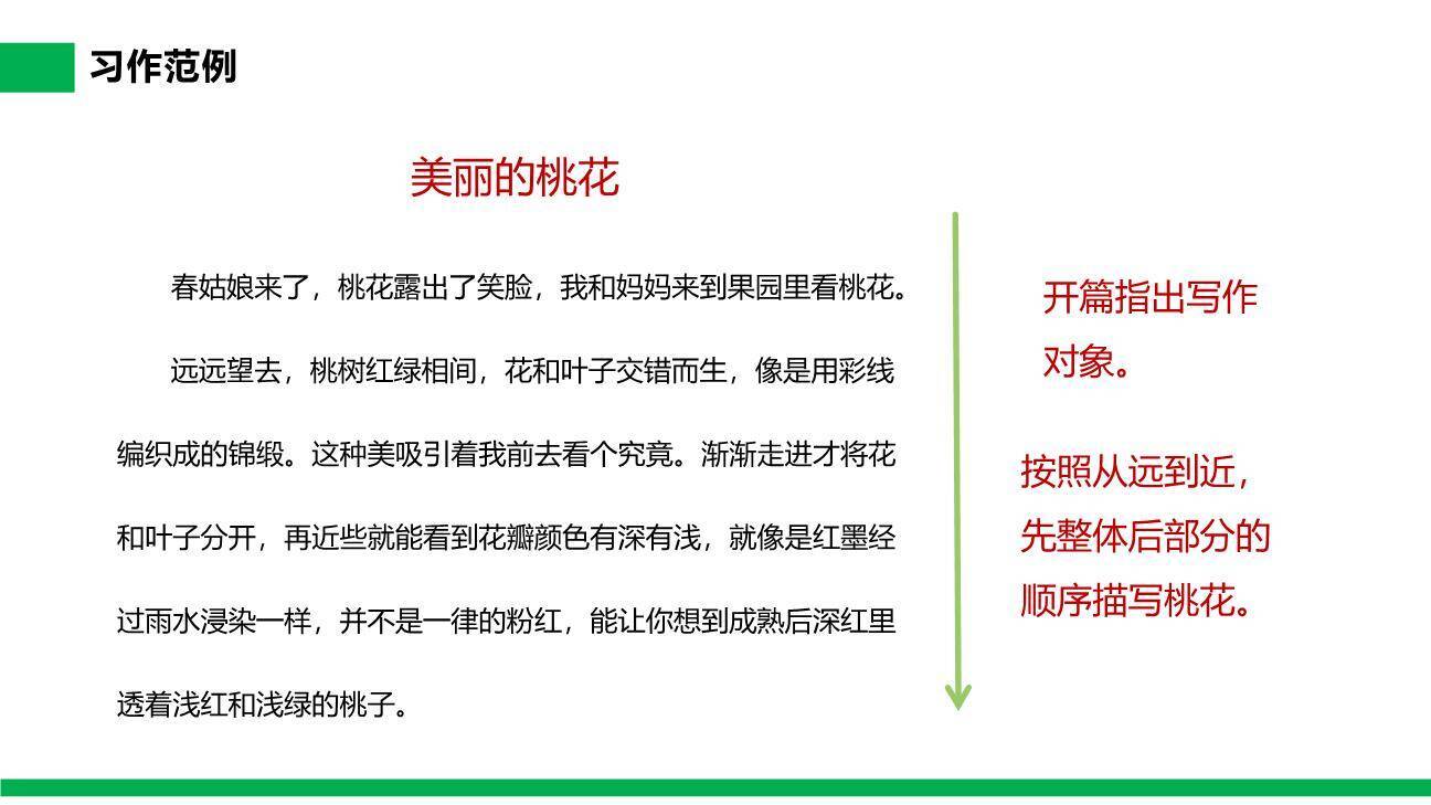 我的植物朋友PPT课件85