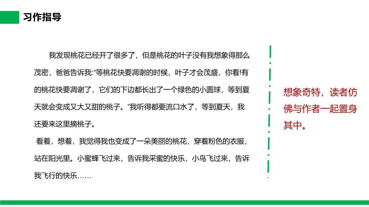 我的植物朋友PPT课件87