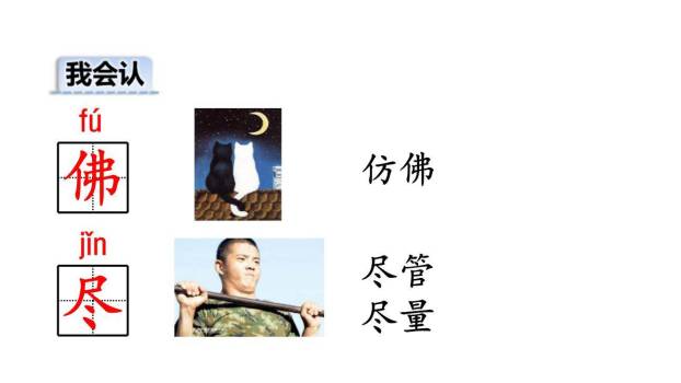 小毛虫PPT课件81