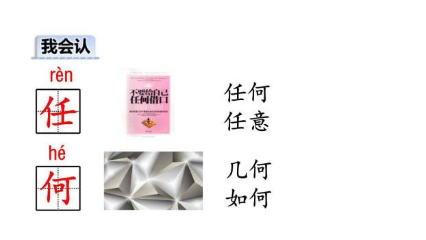 小毛虫PPT课件82