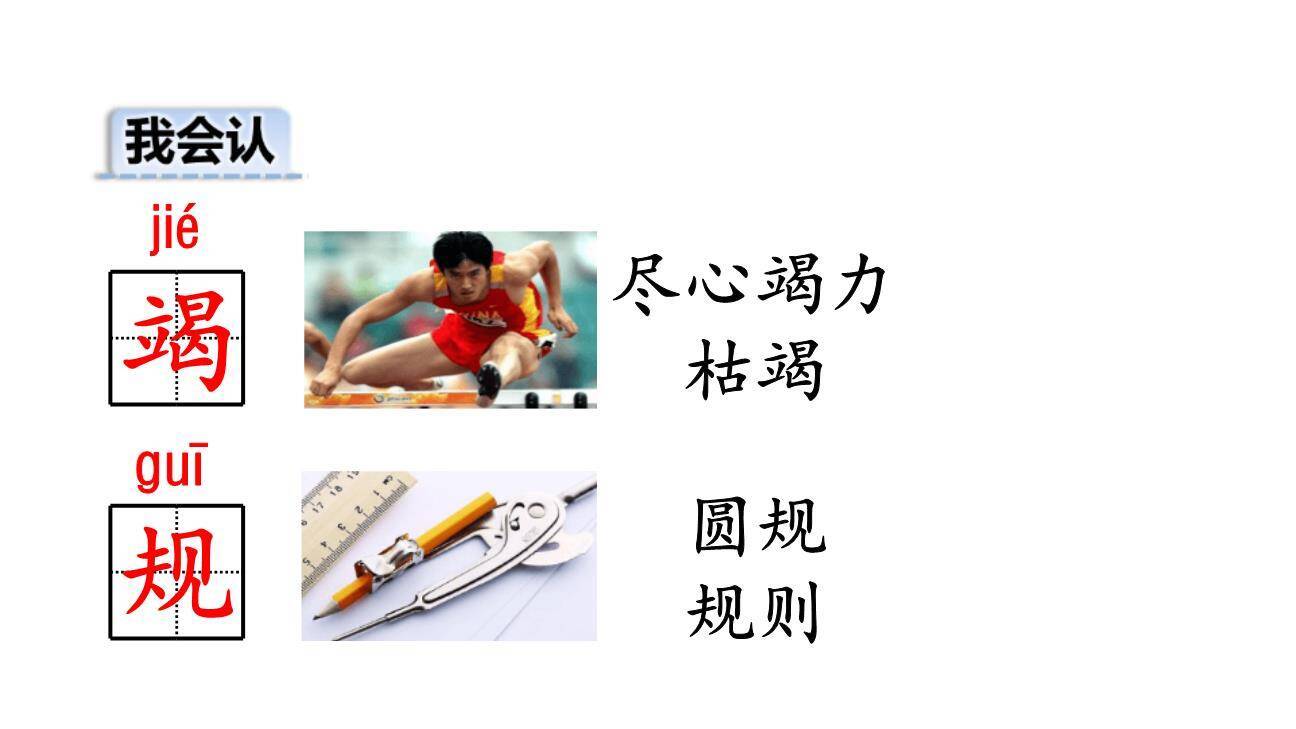 小毛虫PPT课件83