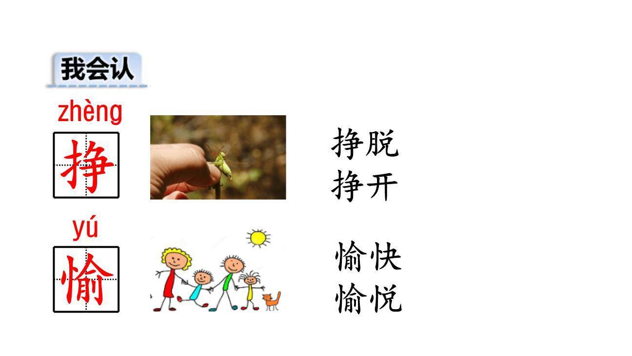 小毛虫PPT课件85