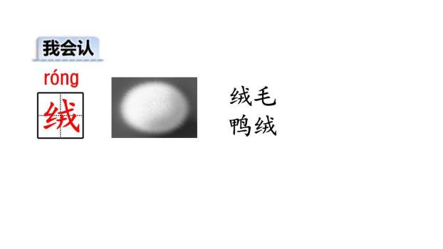 小毛虫PPT课件86