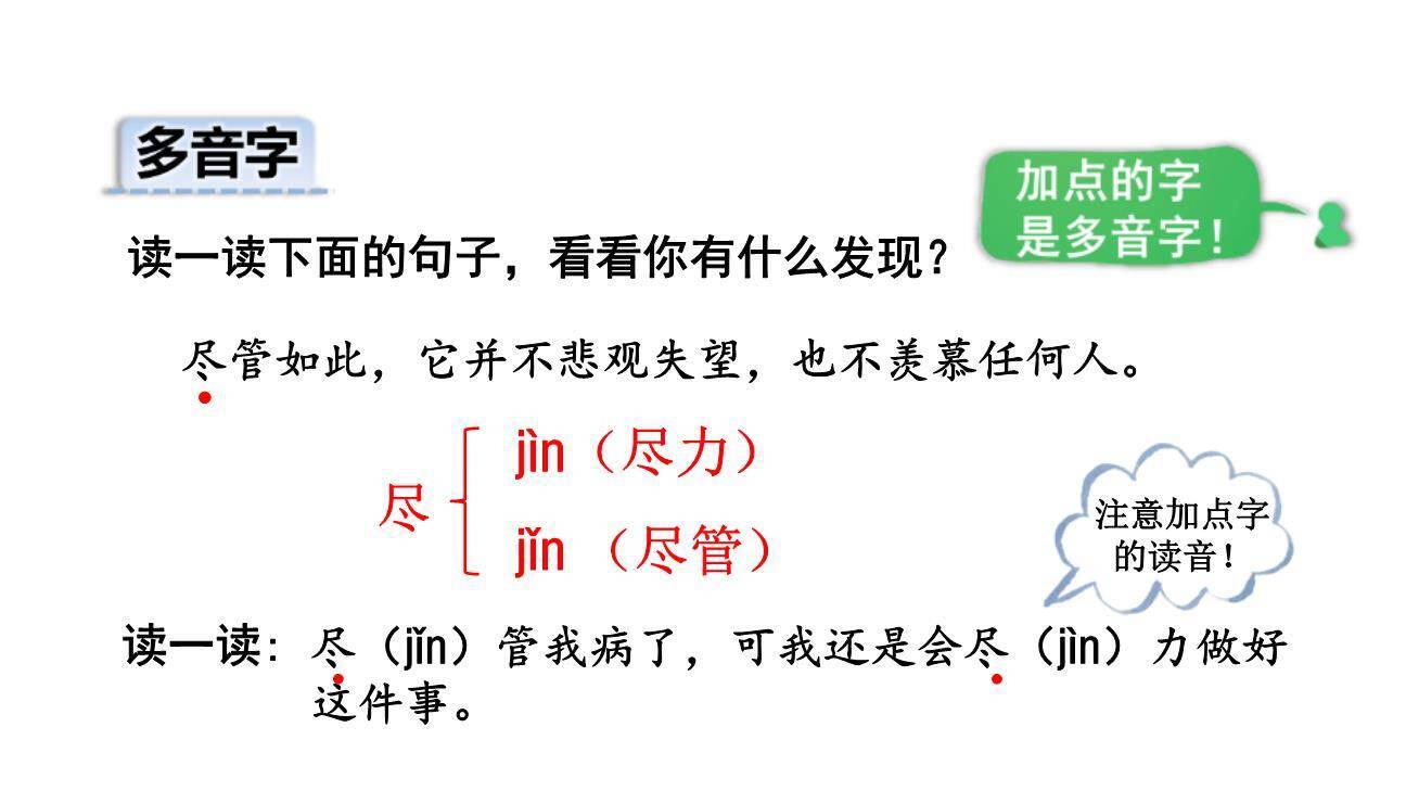 小毛虫PPT课件87