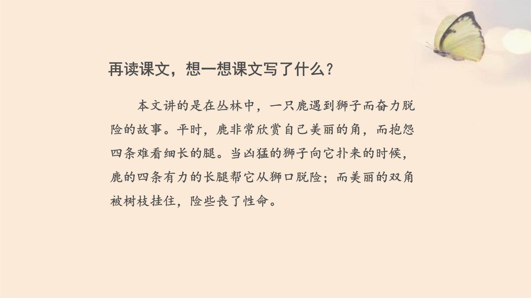 狮子和鹿PPT课件28