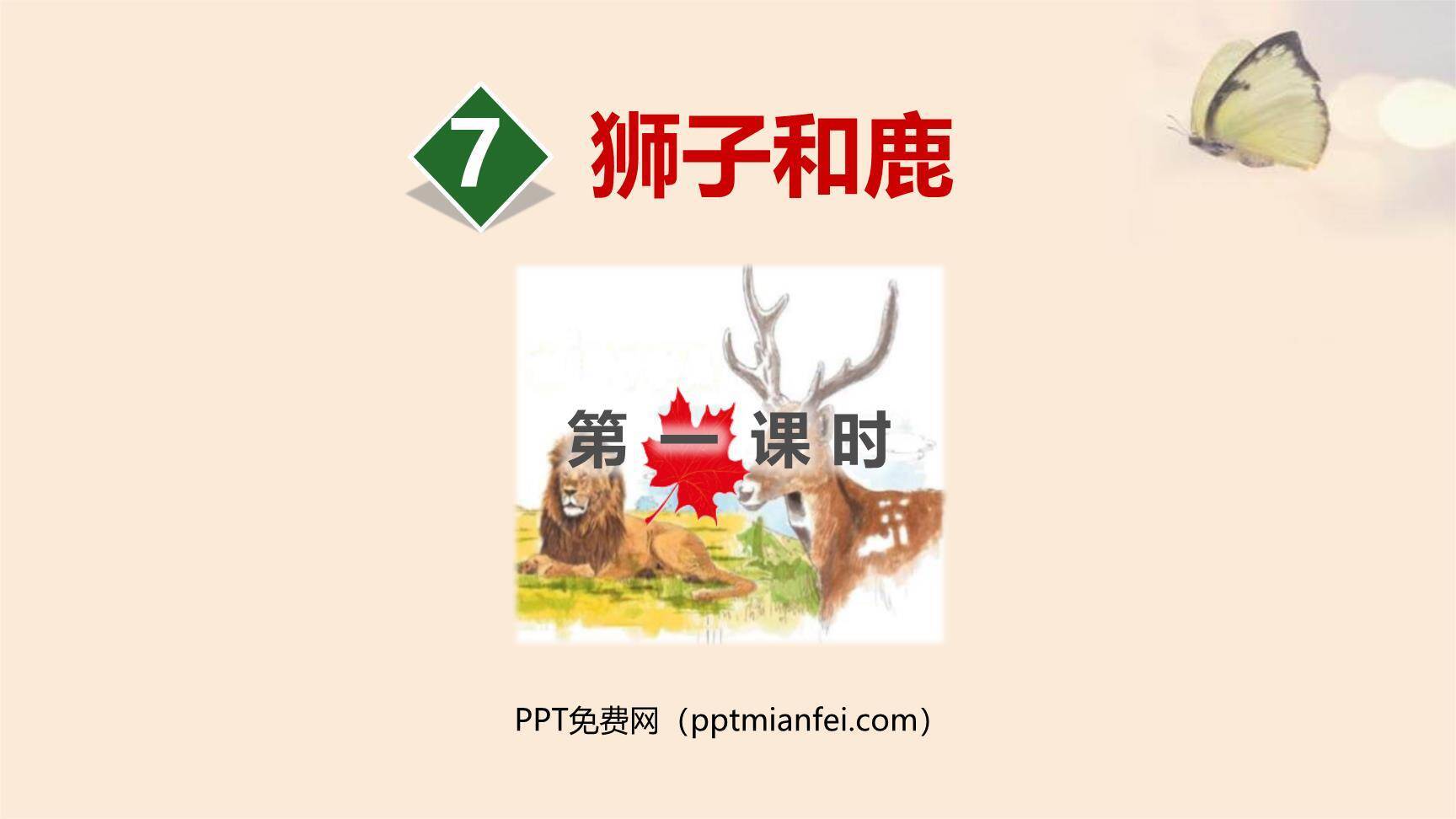 狮子和鹿PPT课件20