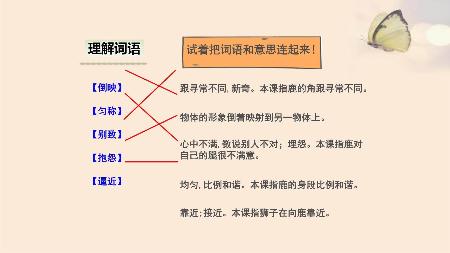 狮子和鹿PPT课件25