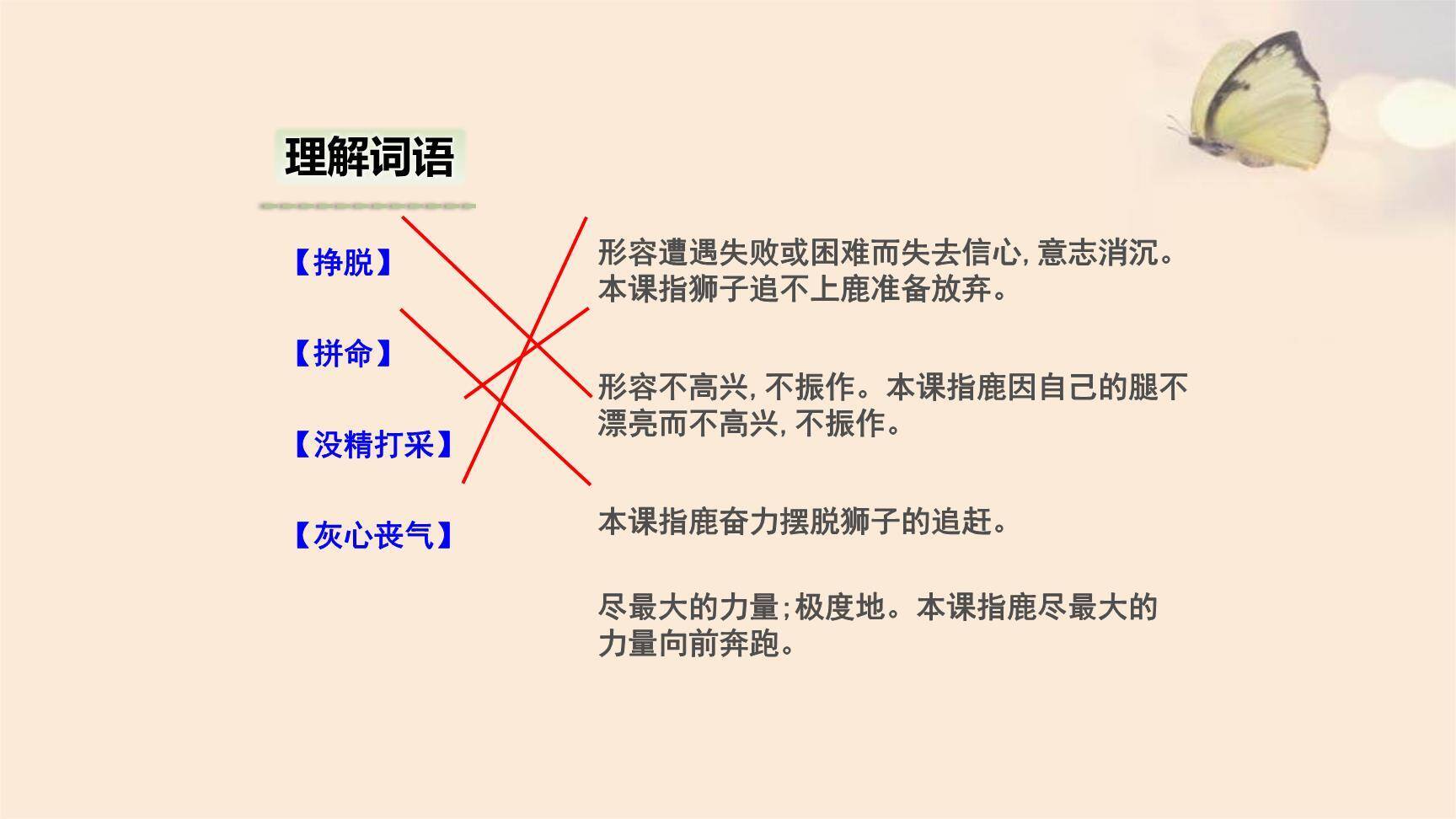 狮子和鹿PPT课件26