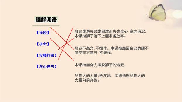 狮子和鹿PPT课件26