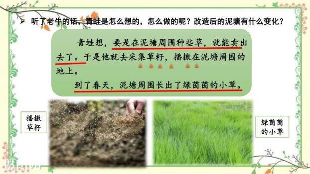 青蛙卖泥塘PPT课件42