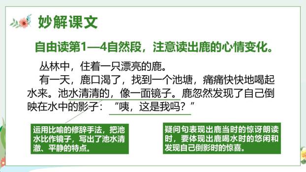 美丽的鹿角PPT课件68