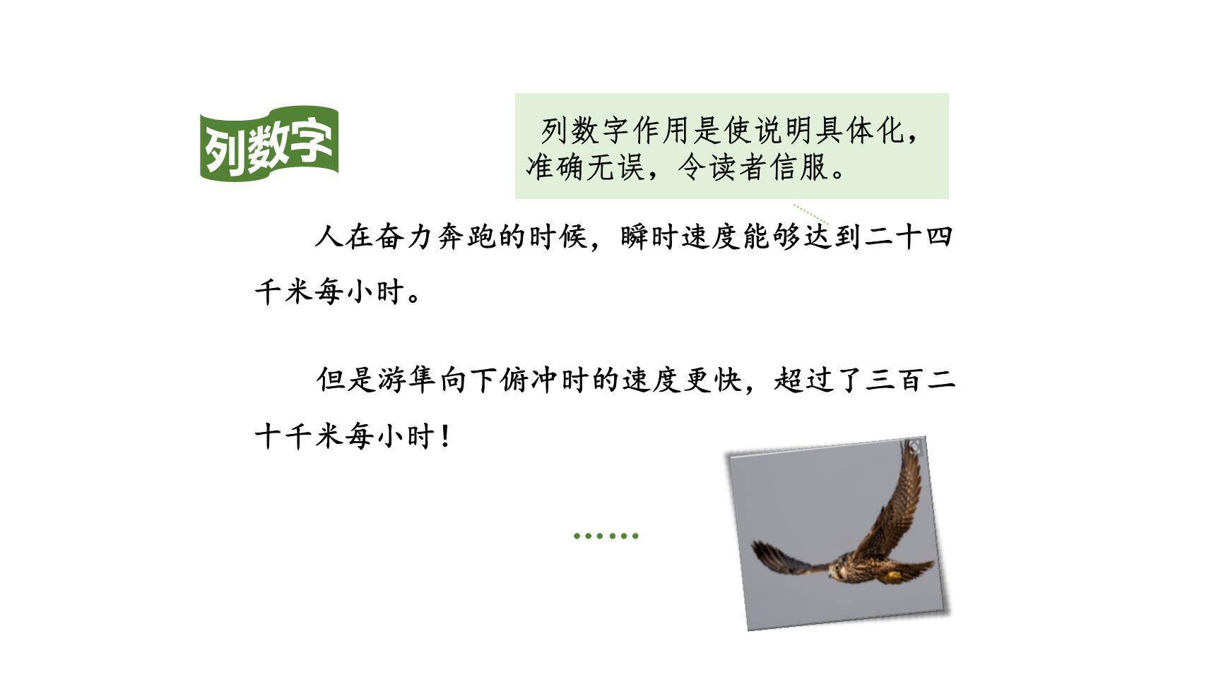 什么比猎豹的速度更快PPT课件65