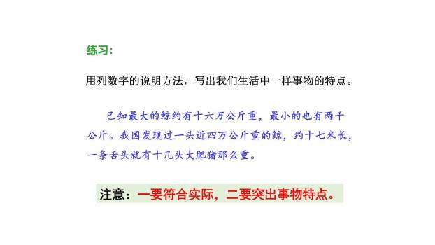 什么比猎豹的速度更快PPT课件66