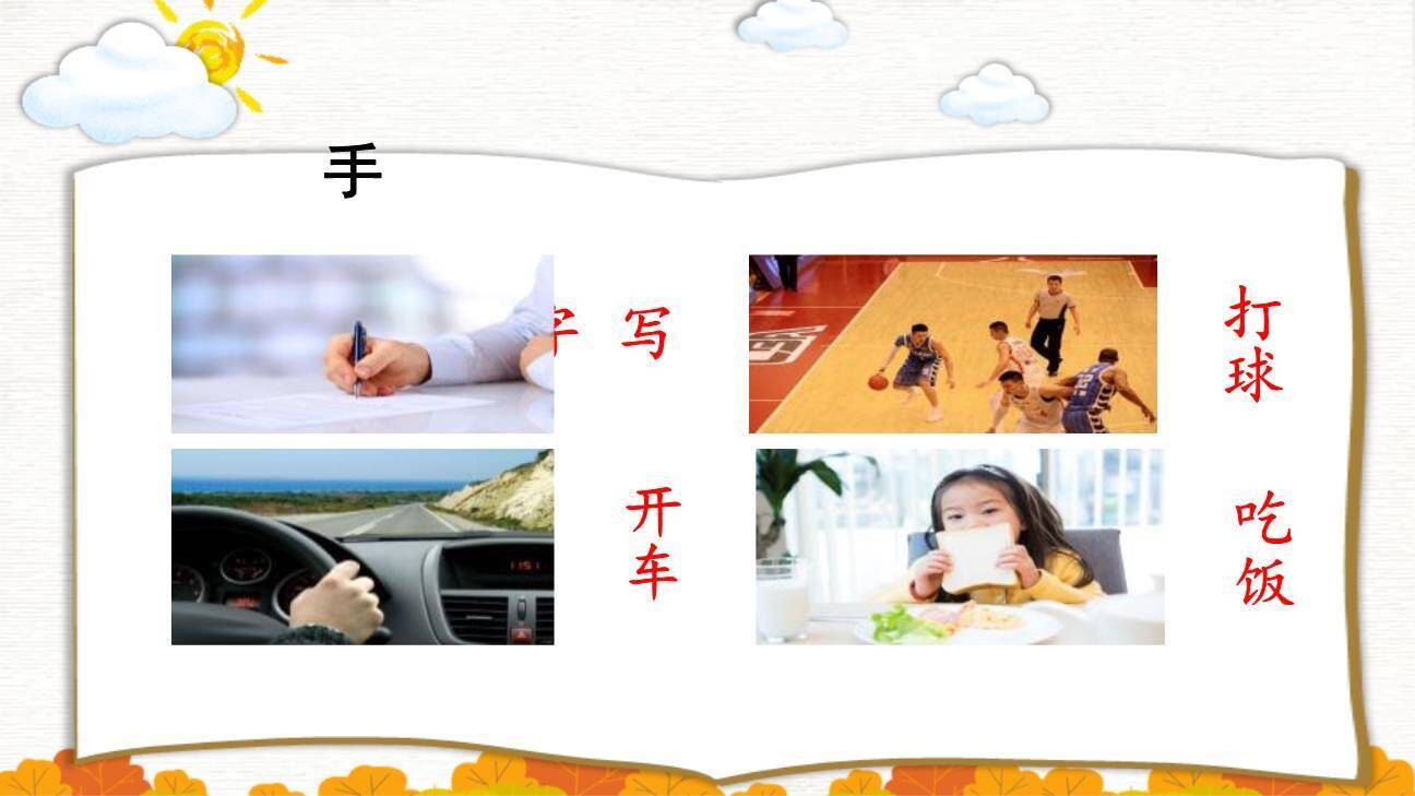 耳口目PPT课件41