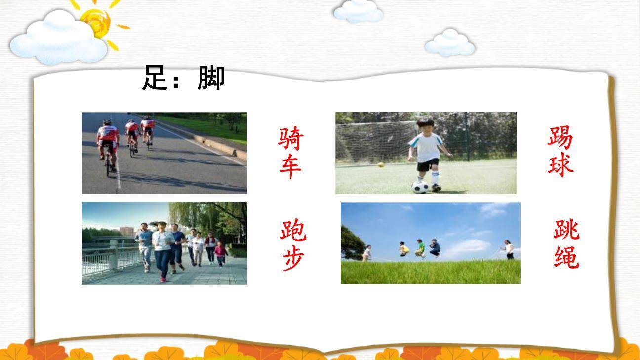 耳口目PPT课件42