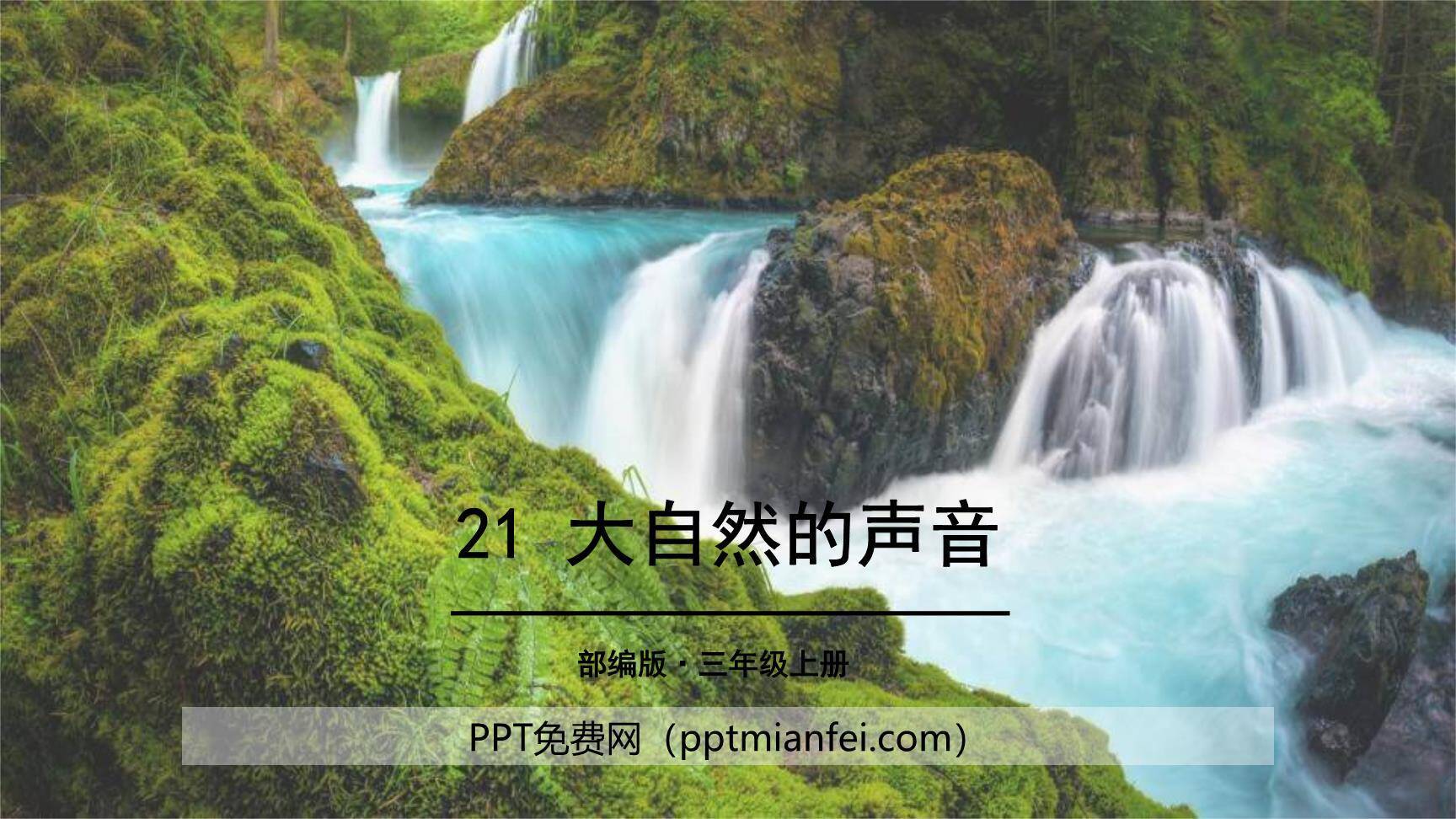 大自然的声音PPT课件50