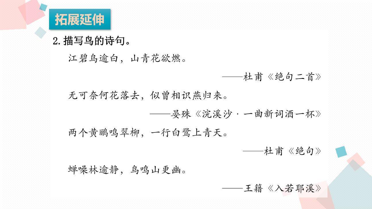 搭船的鸟PPT课件48