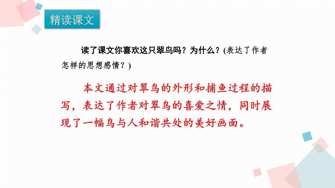 搭船的鸟PPT课件44