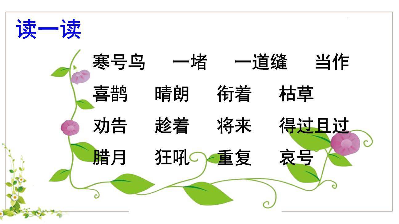 寒号鸟PPT课件75