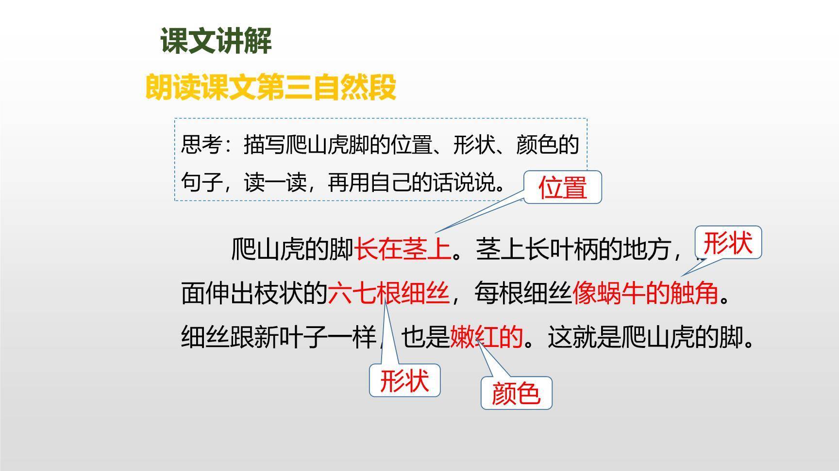 爬山虎的脚PPT课件58