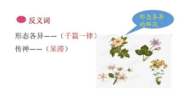 一幅名扬中外的画PPT课件64