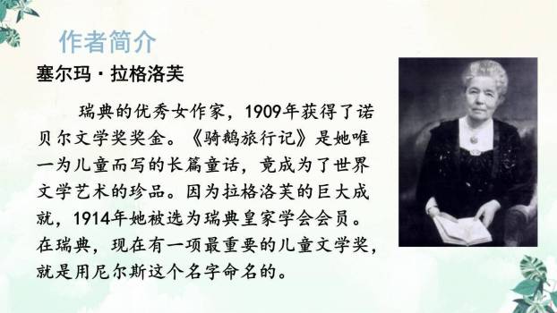 骑鹅旅行记PPT课件69