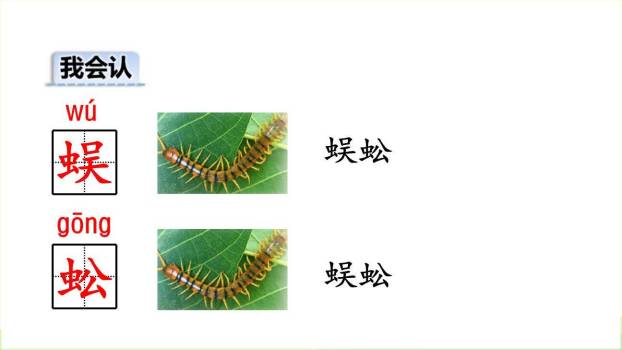 蜘蛛开店PPT课件84