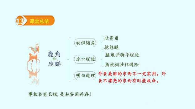 美丽的鹿角PPT课件48