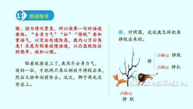 美丽的鹿角PPT课件46