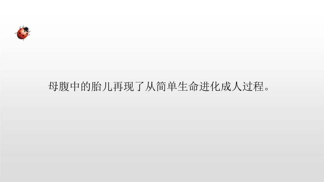 童年的发现PPT课件18