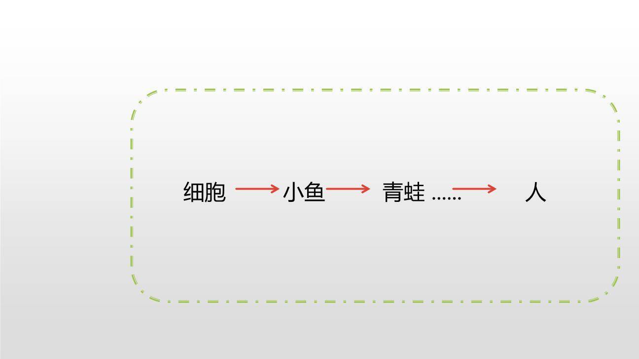 童年的发现PPT课件12