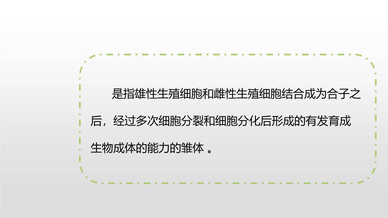 童年的发现PPT课件14