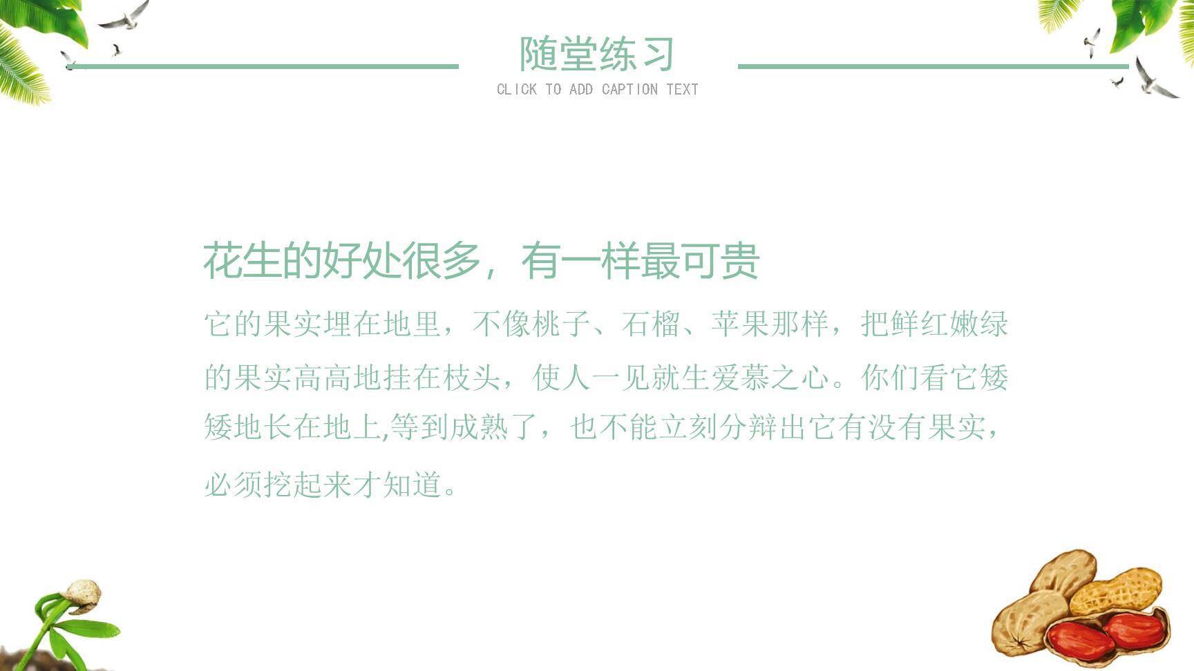 落花生PPT课件18