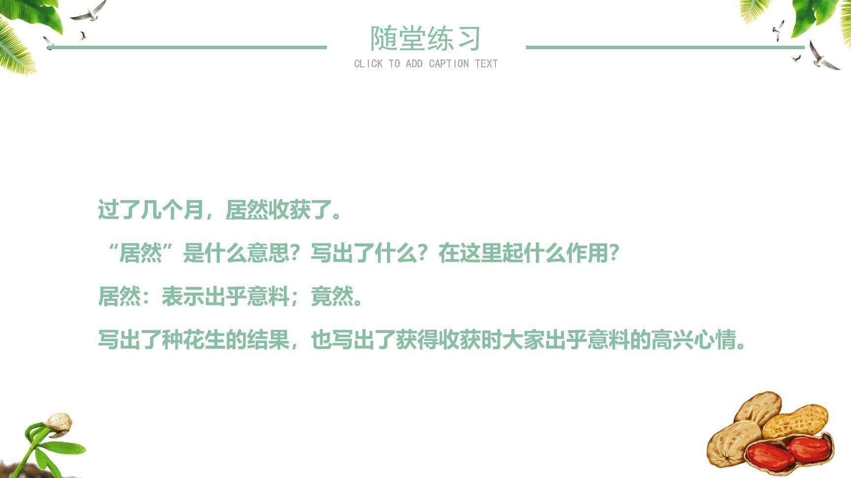 落花生PPT课件15