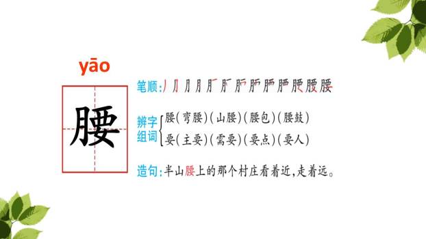 带刺的朋友PPT课件36