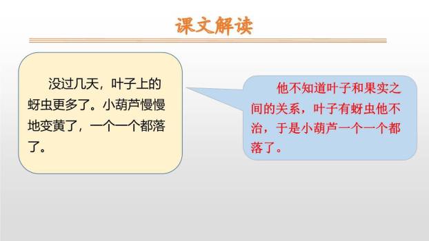 我要的是葫芦PPT课件68