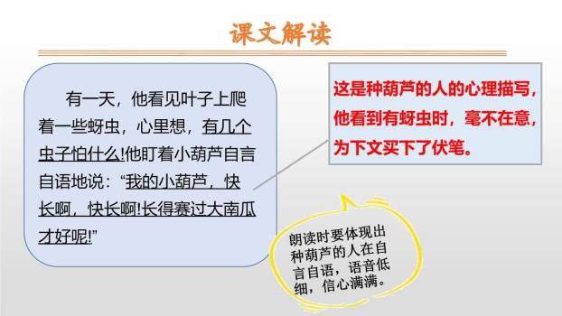 我要的是葫芦PPT课件66