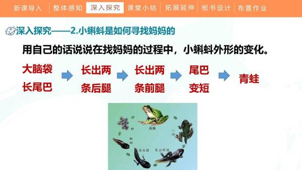 小蝌蚪找妈妈PPT课件88