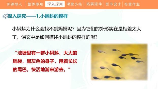 小蝌蚪找妈妈PPT课件86