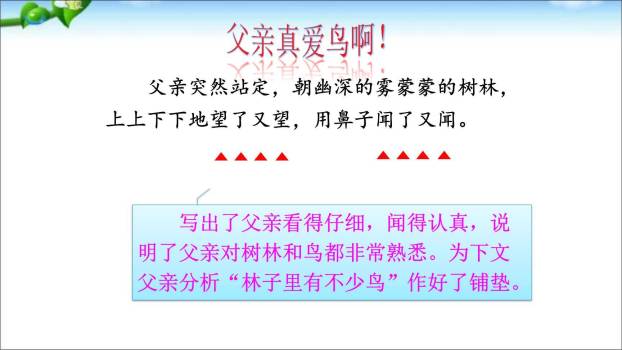 父亲树林和鸟PPT课件67