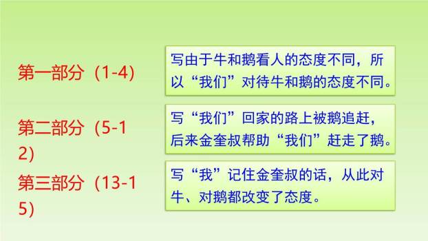 牛和鹅PPT课件82