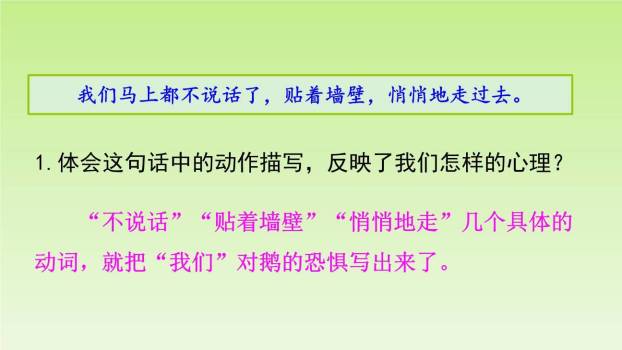 牛和鹅PPT课件84